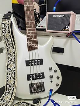 Amazon.com: MUSIC FIRST Original Design, 2.4 inch width (6cm